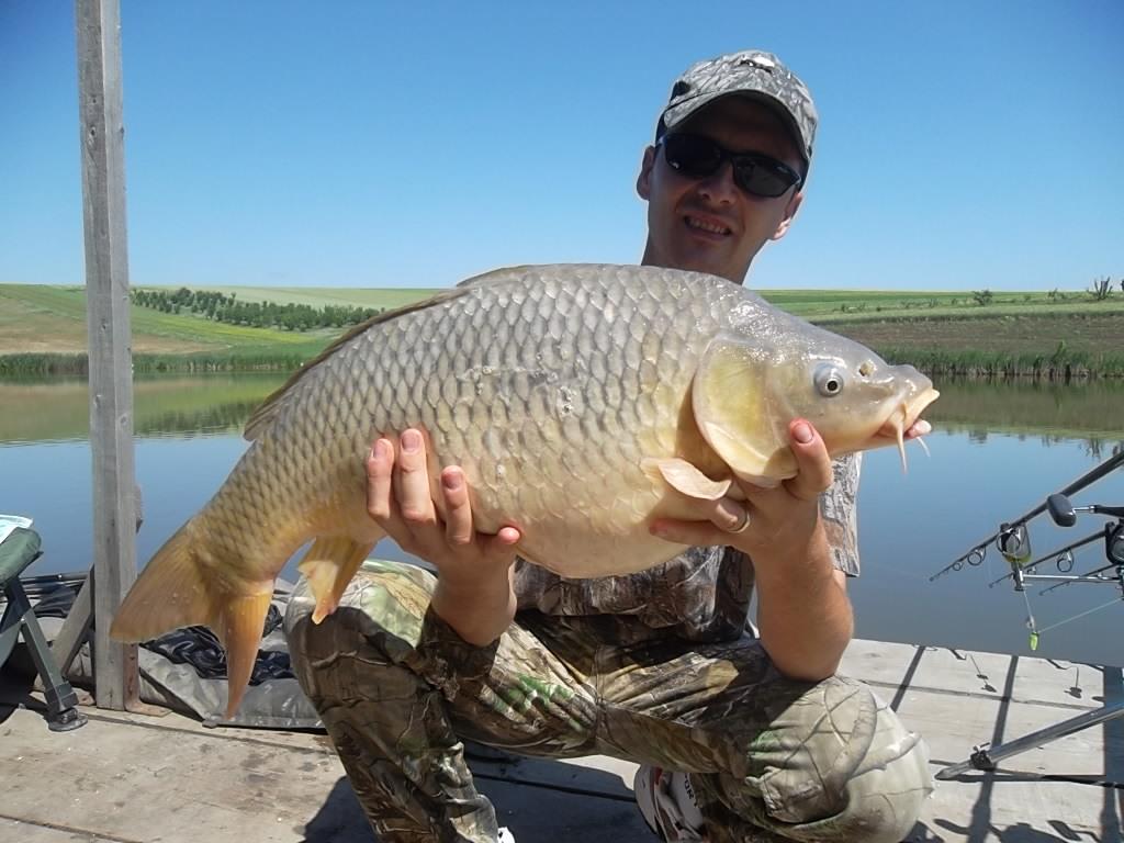 Diferite experiente - sam2055.JPG